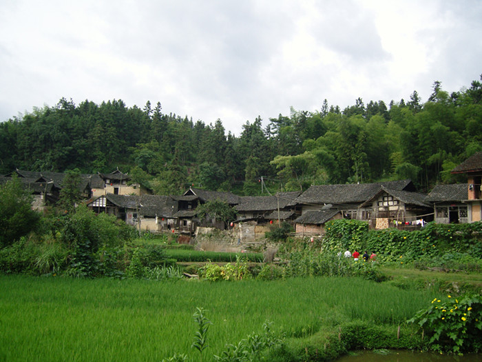 ��̶����ȸ�¹Ŵ���