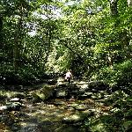 ������ ���Ϫ