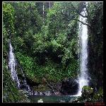 �����������ٲ�